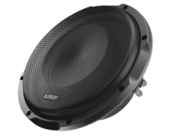 APS 10 S4S